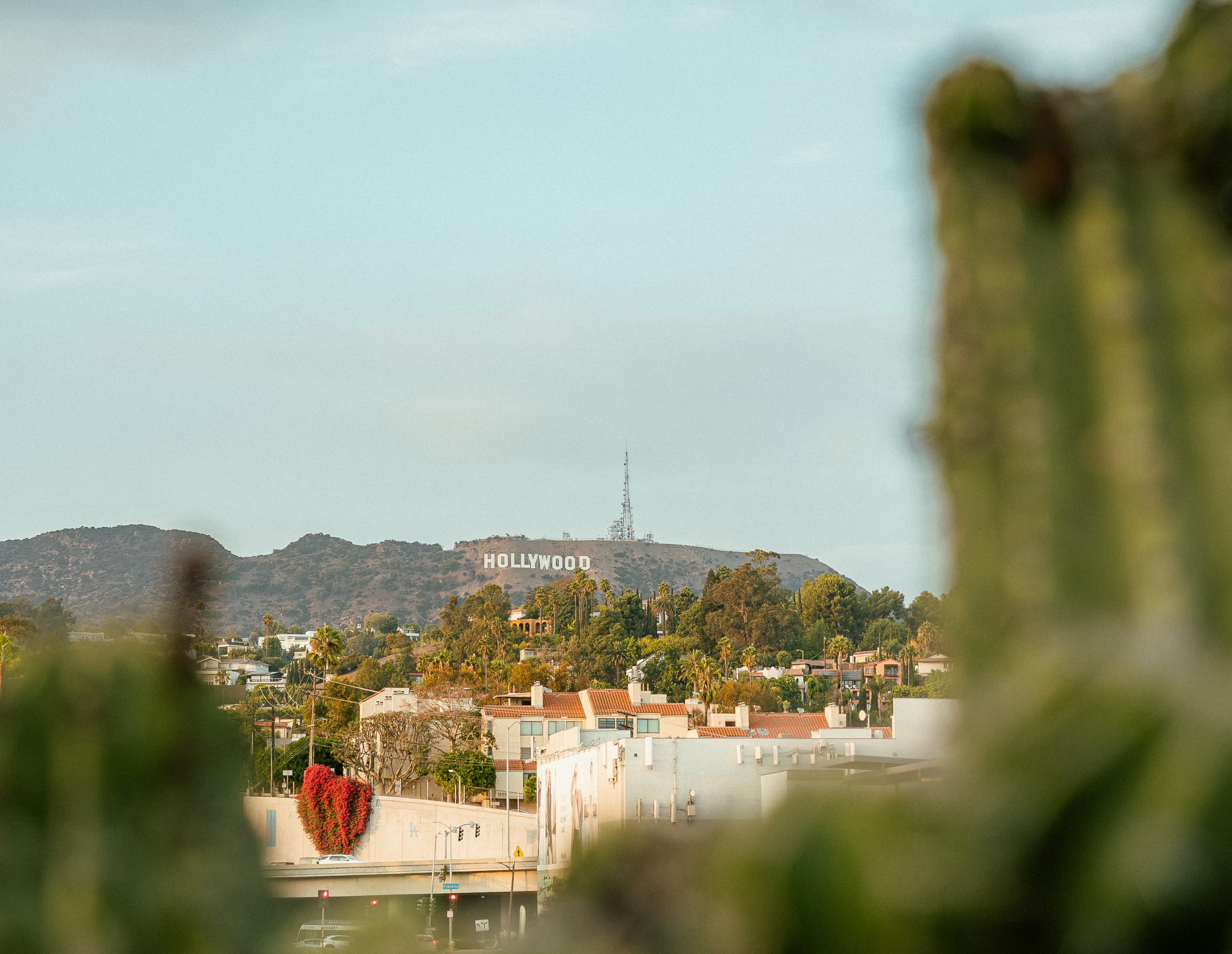 hollywood hills